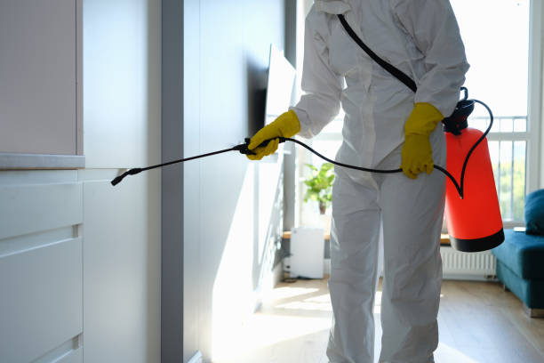 Best Insurance-Related Mold Remediation in Cambridge, OH