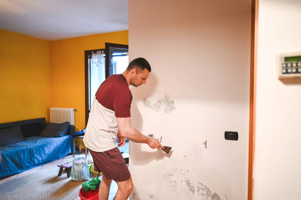 Best Black Mold Remediation in Cambridge, OH